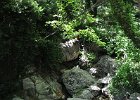 2012.06.30 Bilder rund um die Pilionbahn (17)